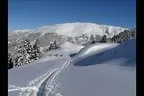 Schitour zum Salzachgeier - Kitzbühler Alpen Bild 32
