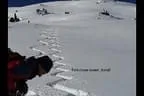 Schitour zum Salzachgeier - Kitzbühler Alpen Bild 52
