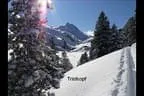 Schitour zum Salzachgeier - Kitzbühler Alpen Bild 43