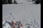 Schitour zum Salzachgeier - Kitzbühler Alpen Bild 55