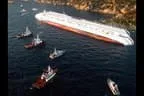 Costa Concordia - Schiffsunglück Bild 24