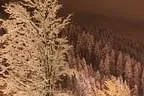 Hopfgarten Winter   31. 12. 2012 Bild 30