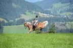 Tiroler Meisterschaft - Vielseitigkeit - Reiten Bild 8