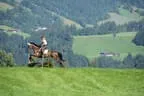 Tiroler Meisterschaft - Vielseitigkeit - Reiten Bild 16
