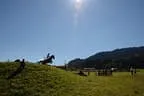 Tiroler Meisterschaft - Vielseitigkeit - Reiten Bild 18