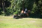 Tiroler Meisterschaft - Vielseitigkeit - Reiten Bild 24