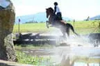 Tiroler Meisterschaft - Vielseitigkeit - Reiten Bild 29