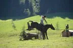 Tiroler Meisterschaft - Vielseitigkeit - Reiten Bild 35