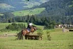 Tiroler Meisterschaft - Vielseitigkeit - Reiten Bild 36