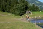 Tiroler Meisterschaft - Vielseitigkeit - Reiten Bild 41