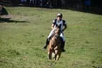 Tiroler Meisterschaft - Vielseitigkeit - Reiten Bild 46