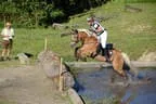 Tiroler Meisterschaft - Vielseitigkeit - Reiten Bild 50