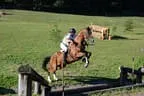 Tiroler Meisterschaft - Vielseitigkeit - Reiten Bild 58