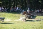 Tiroler Meisterschaft - Vielseitigkeit - Reiten Bild 62