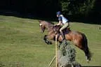 Tiroler Meisterschaft - Vielseitigkeit - Reiten Bild 63
