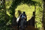 Tiroler Meisterschaft - Vielseitigkeit - Reiten Bild 71