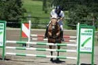 Tiroler Meisterschaft - Vielseitigkeit - Reiten Bild 76