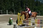 Tiroler Meisterschaft - Vielseitigkeit - Reiten Bild 78