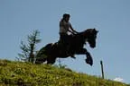 Tiroler Meisterschaft - Vielseitigkeit - Reiten Bild 70