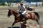 Tiroler Meisterschaft - Vielseitigkeit - Reiten Bild 84