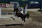 Tiroler Meisterschaft - Vielseitigkeit - Reiten Bild 85