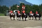 Tiroler Meisterschaft - Vielseitigkeit - Reiten Bild 86