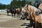 Tiroler Meisterschaft - Vielseitigkeit - Reiten Bild 88