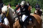 Tiroler Meisterschaft - Vielseitigkeit - Reiten Bild 91