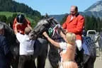 Tiroler Meisterschaft - Vielseitigkeit - Reiten Bild 96