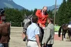 Tiroler Meisterschaft - Vielseitigkeit - Reiten Bild 97