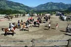 Tiroler Meisterschaft - Vielseitigkeit - Reiten Bild 98