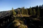 Herbstimpressionen Feldalphorn Bild 1