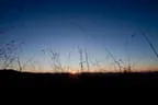 Herbstimpressionen Feldalphorn Bild 36