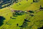 Herbstimpressionen Feldalphorn Bild 82