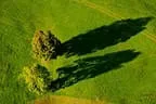Herbstimpressionen Feldalphorn Bild 86