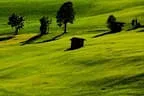 Herbstimpressionen Feldalphorn Bild 92