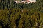 Herbstimpressionen Feldalphorn Bild 98