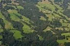 Herbstimpressionen Feldalphorn Bild 101