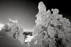 Winter Impressionen  Bild 33