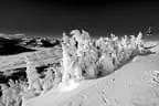 Winter Impressionen  Bild 31