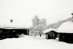 Winter Impressionen  Bild 19