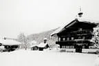 Winter Impressionen  Bild 18