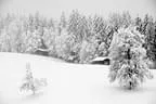 Winter Impressionen  Bild 16