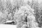 Winter Impressionen  Bild 15