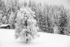 Winter Impressionen  Bild 14