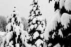 Winter Impressionen  Bild 13
