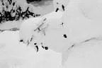 Winter Impressionen  Bild 12