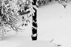 Winter Impressionen  Bild 11