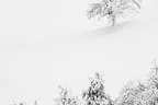 Winter Impressionen  Bild 10