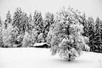 Winter Impressionen  Bild 8